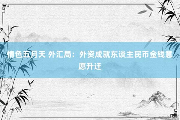 情色五月天 外汇局：外资成就东谈主民币金钱意愿升迁