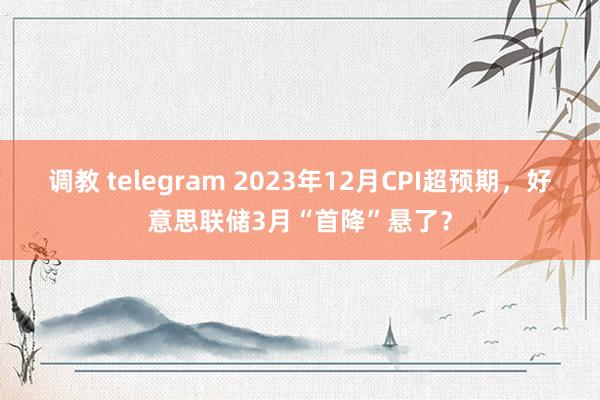 调教 telegram 2023年12月CPI超预期，好意思联储3月“首降”悬了？