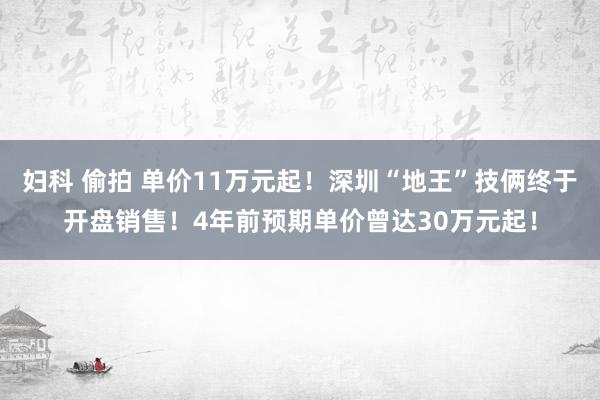 妇科 偷拍 单价11万元起！深圳“地王”技俩终于开盘销售！4年前预期单价曾达30万元起！