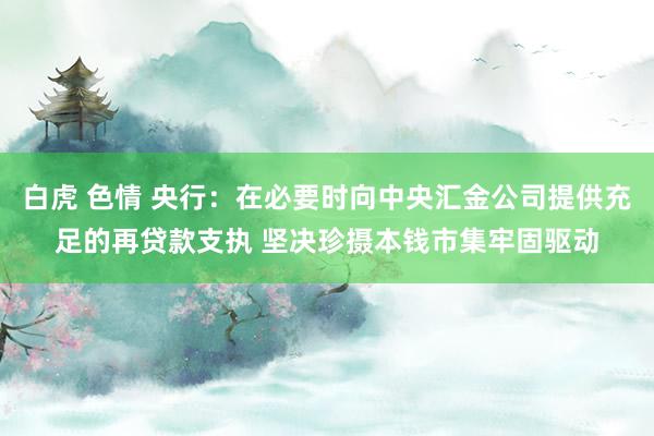 白虎 色情 央行：在必要时向中央汇金公司提供充足的再贷款支执 坚决珍摄本钱市集牢固驱动