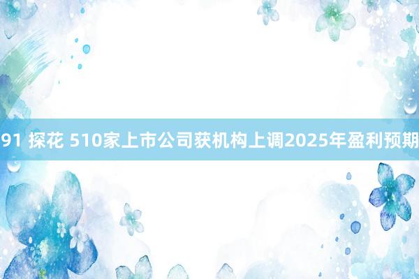 91 探花 510家上市公司获机构上调2025年盈利预期