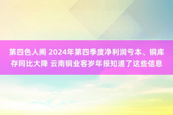 第四色人阁 2024年第四季度净利润亏本、铜库存同比大降 云南铜业客岁年报知道了这些信息